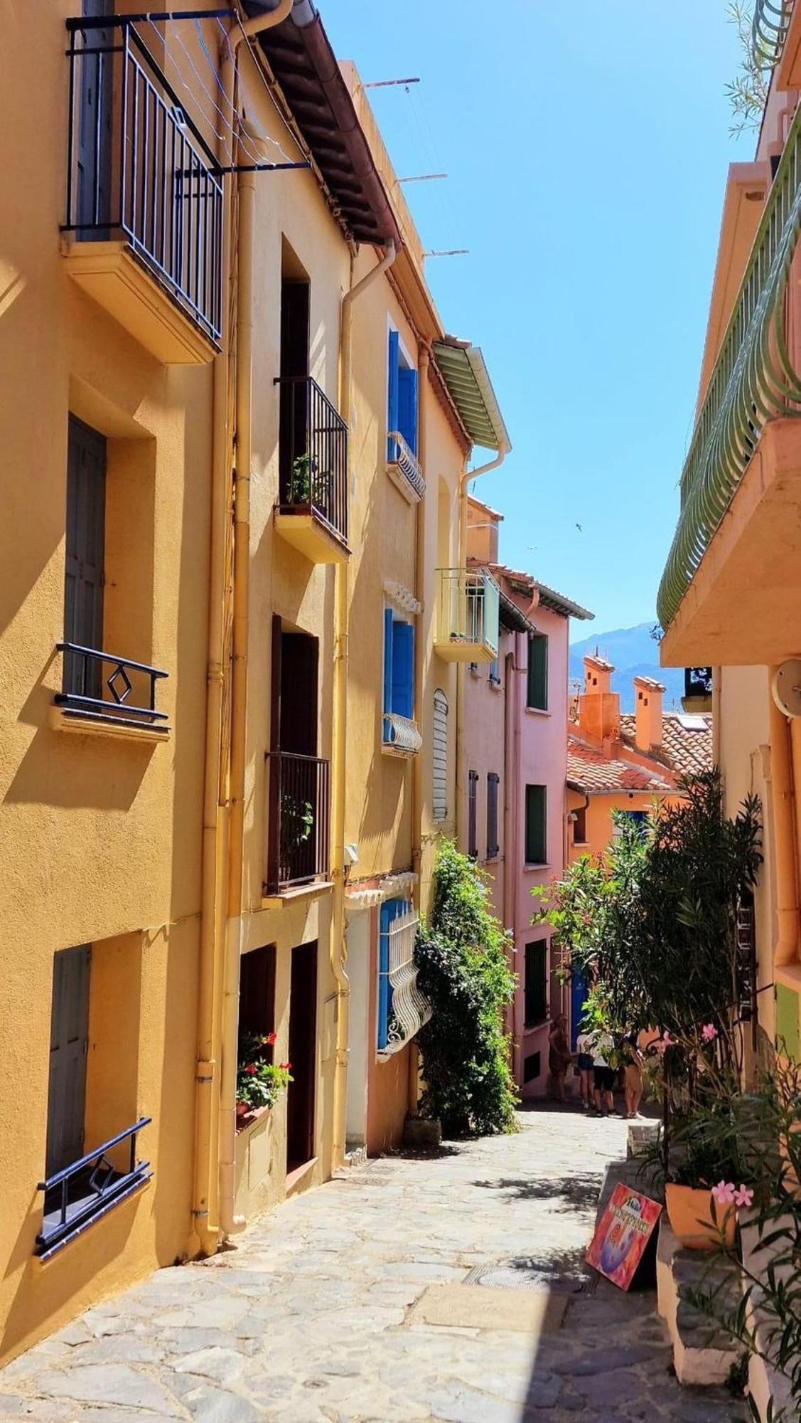 5Rbut1 - Maison Familiale Sur Deux Niveaux En Plein Coeur Du Centre Ville Collioure Exteriör bild