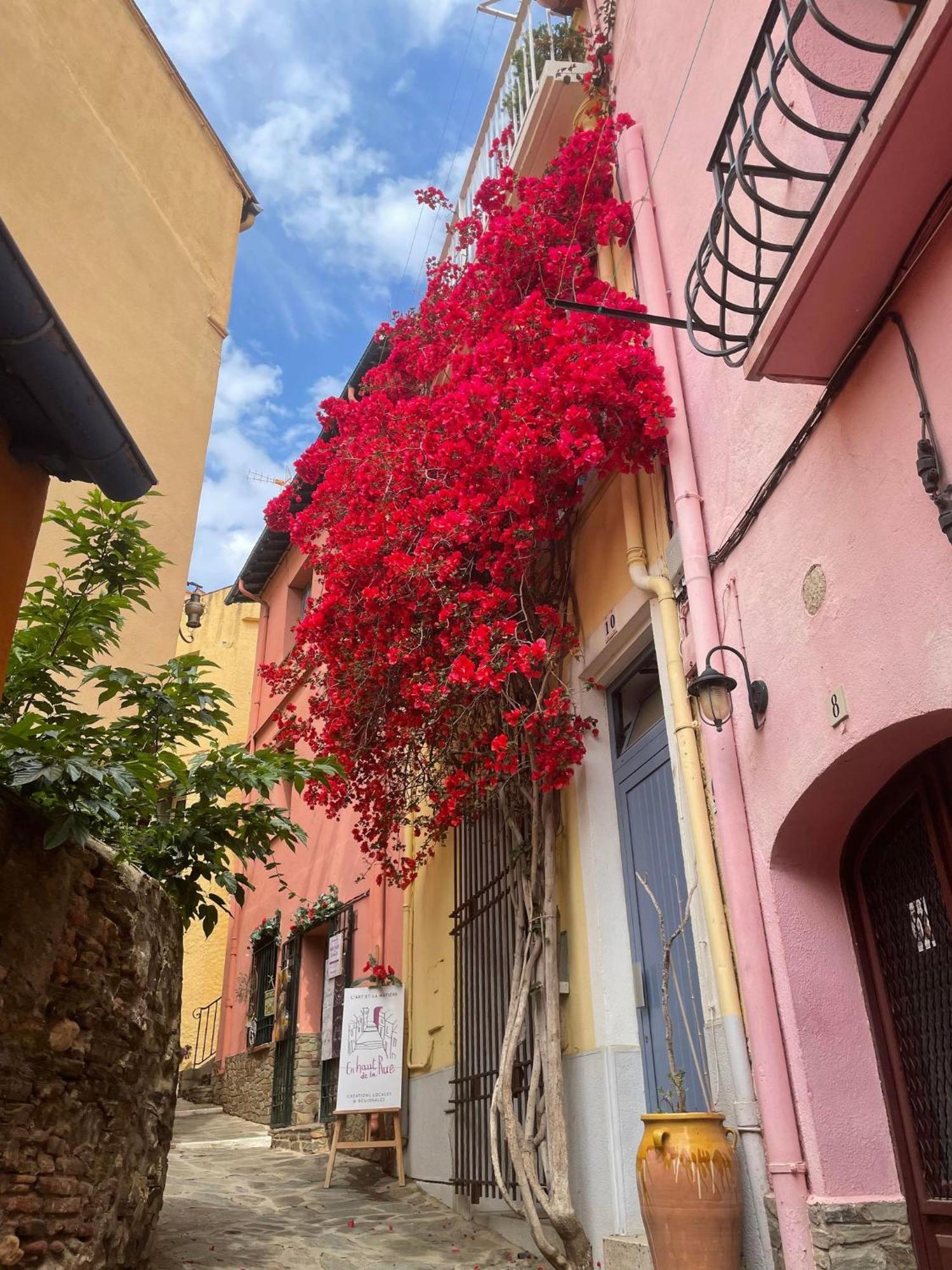 5Rbut1 - Maison Familiale Sur Deux Niveaux En Plein Coeur Du Centre Ville Collioure Exteriör bild